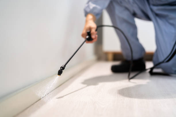 Licensed Mosquito Control service in White Center, WA - Show Me Pest Control