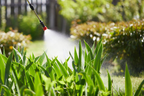 24/7 Emergency Mosquito Control experts in White Center, WA