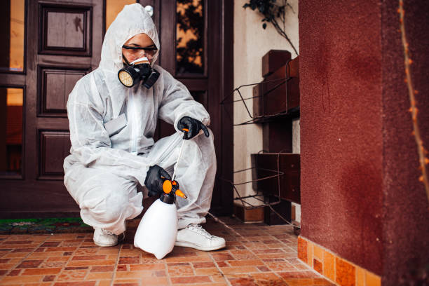 Reliable Mosquito Control contractor in White Center, WA by Show Me Pest Control