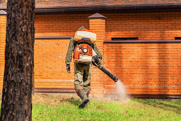 Top rated local Mosquito Control specialists in White Center, WA